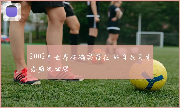 2002年世界杯确实存在 韩日共同举办盛况回顾