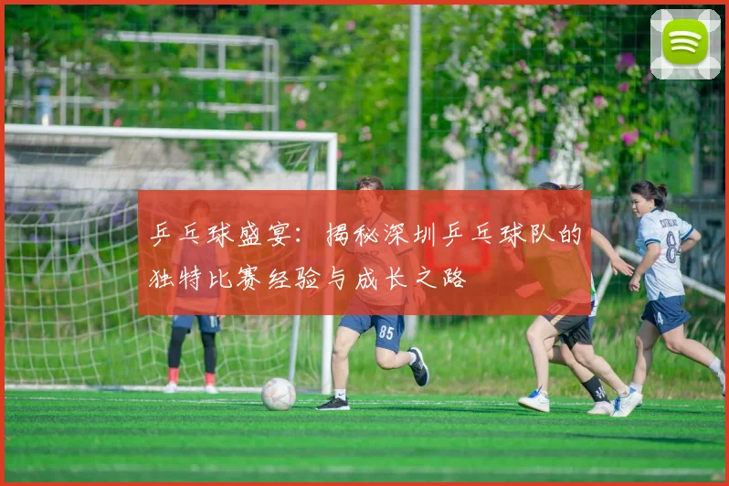 乒乓球盛宴：揭秘深圳乒乓球队的独特比赛经验与成长之路